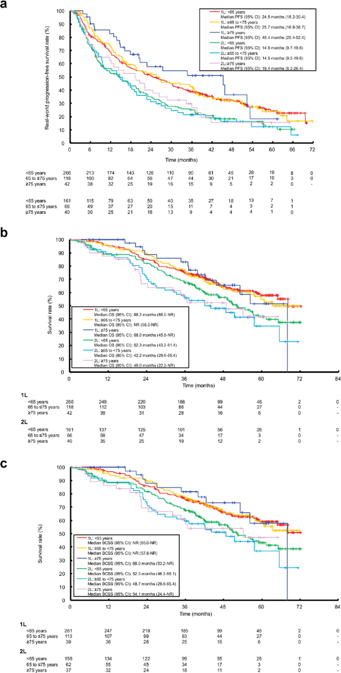 Real-world outcomes of palbociclib plus endocrine therapy in elderly patients with HR+/HER2- advanced breast cancer in Japan: a subgroup analysis of the P-BRIDGE study by age group