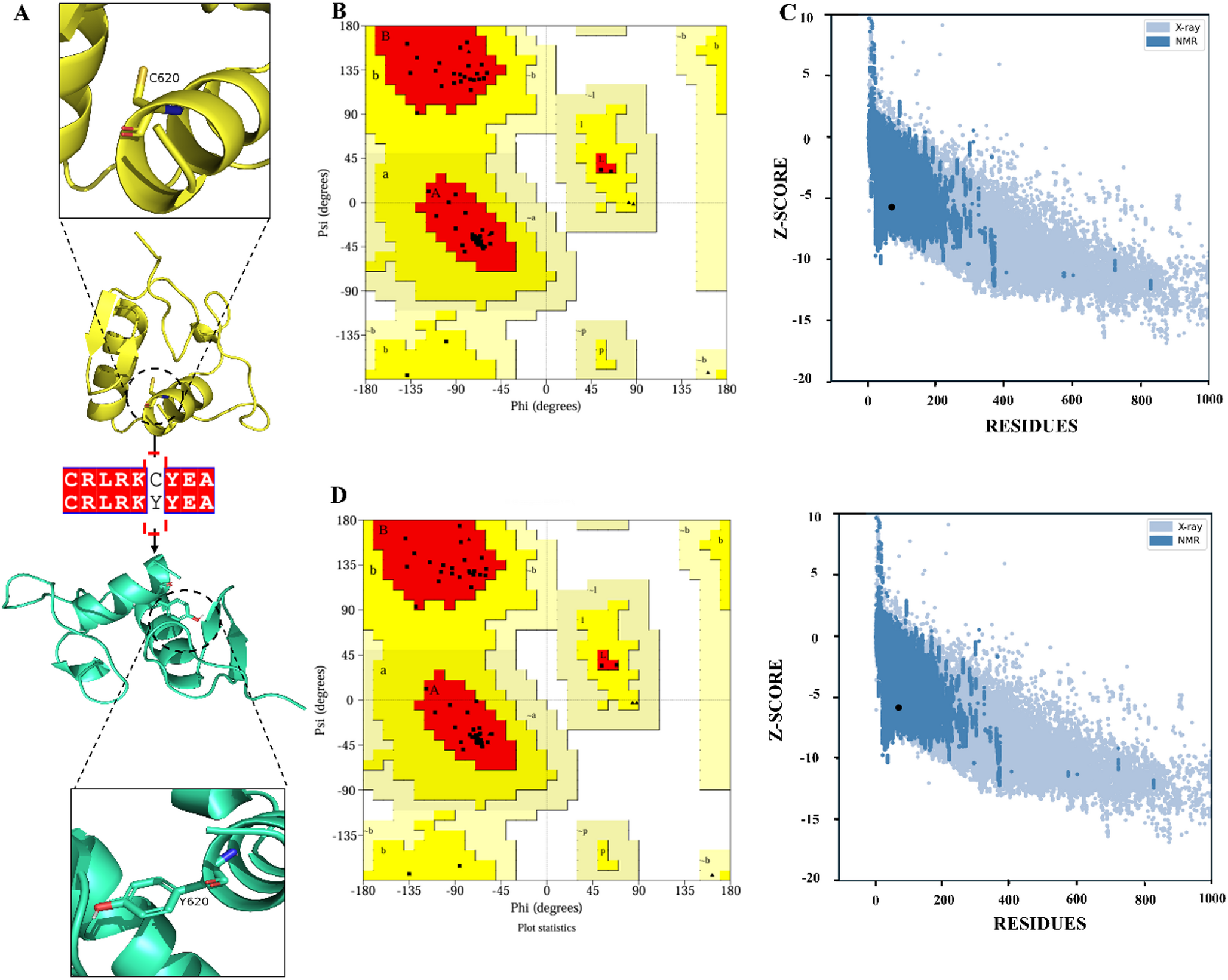 C620Y Mutation–Induced Destabilization of the Androgen Receptor Disrupts DNA Recognition Specificity in Prostate Cancer: Insights from Extensive Parametric Normal Mode Simulations