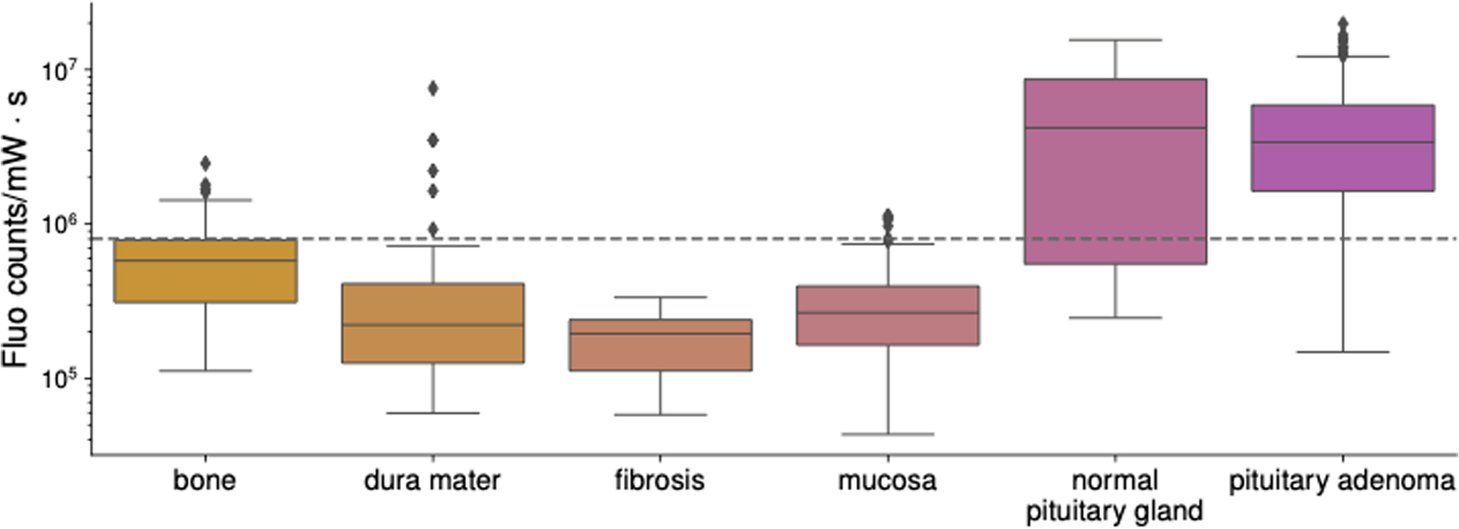 Biochemical and metabolic tissue discrimination using a dual-modality Raman-fluorescence endonasal spectroscopy probe for pituitary adenoma surgery