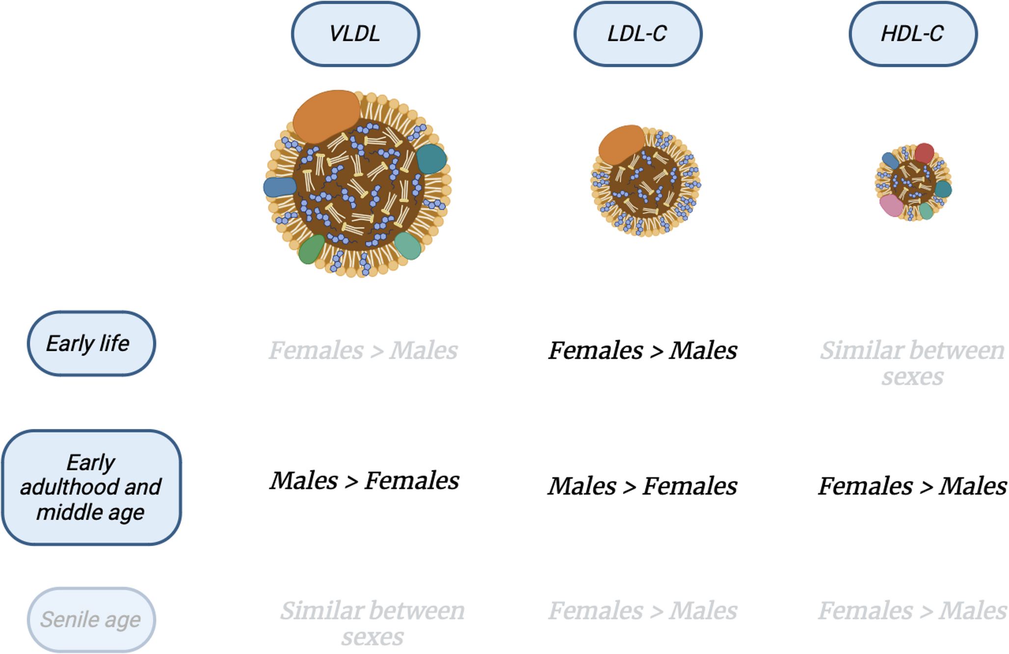 Metabolic syndrome in cushing’s syndrome patients: Does gender matter?