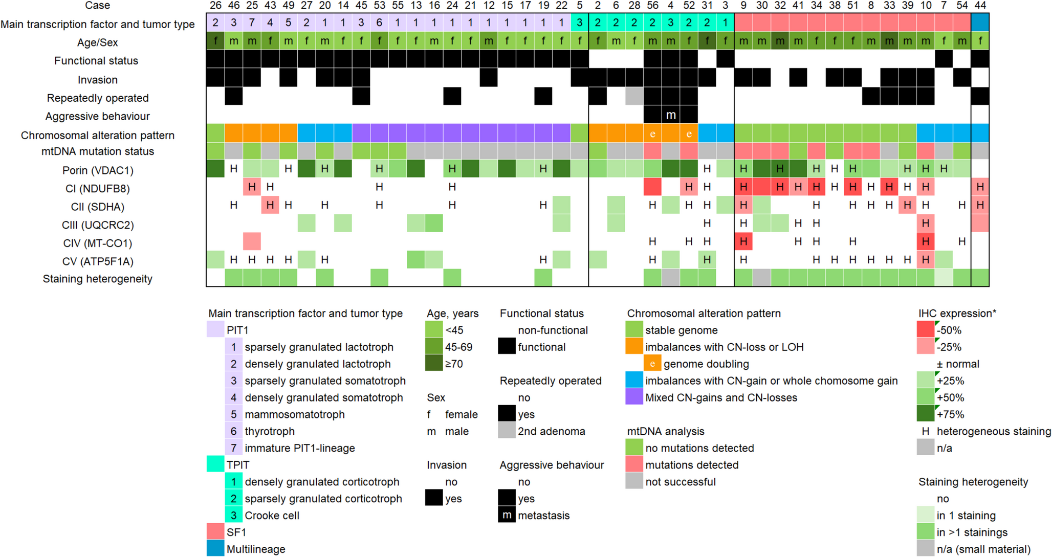 Oxidative phosphorylation patterns in pituitary adenoma/neuroendocrine tumors