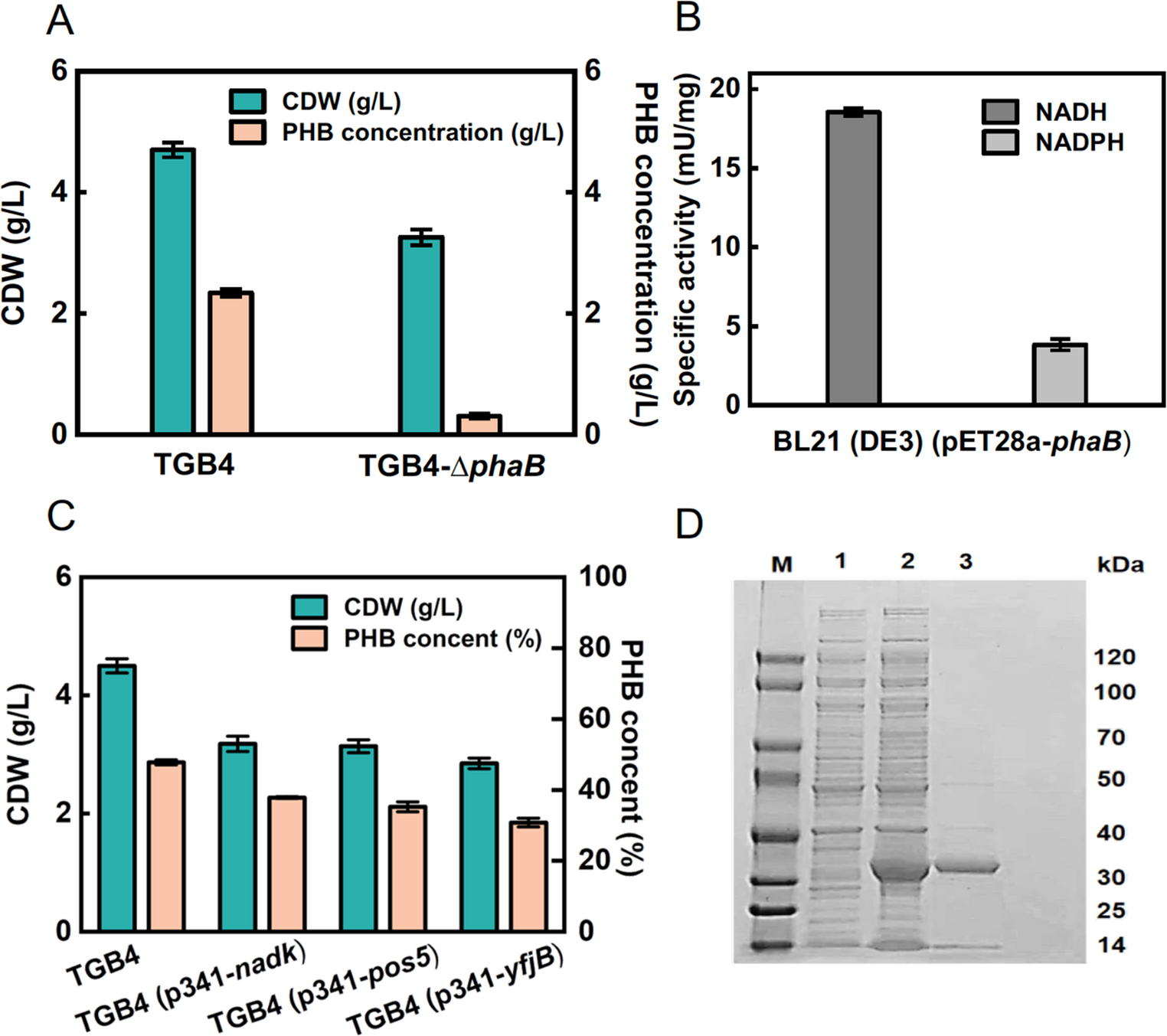 Formate-strengthened NADH supply in  sp. TGB4 improves polyhydroxyalkanoates production