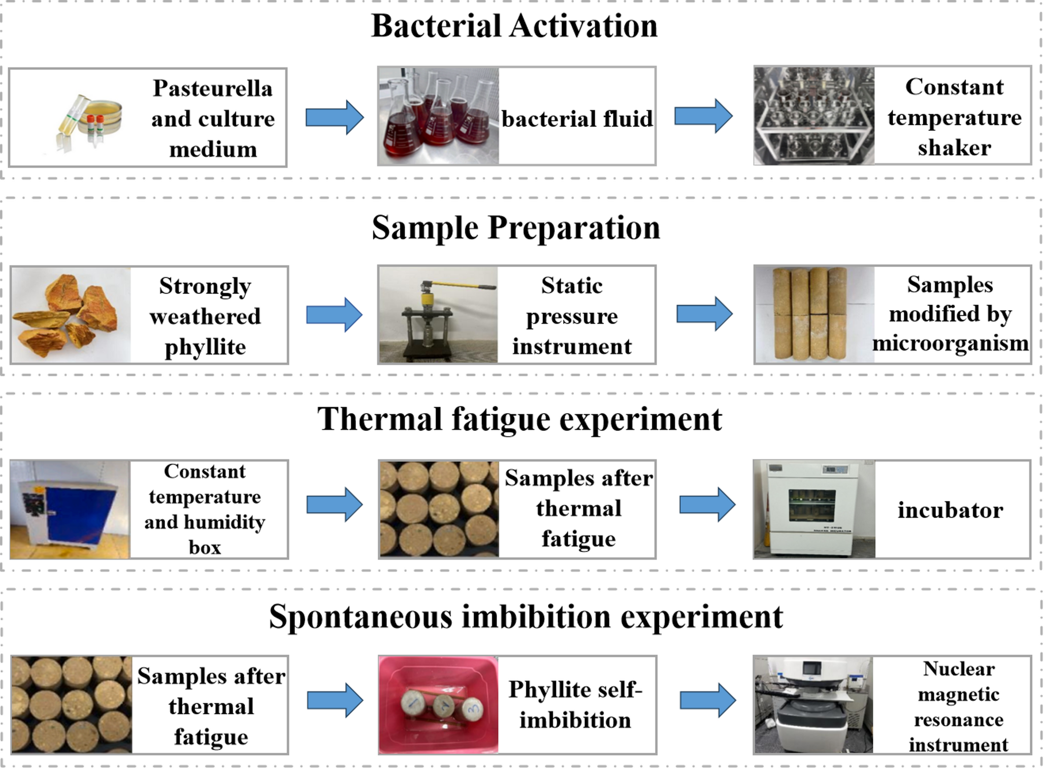 Characterization of capillary water absorption in microbially modified strongly weathered phyllite under the effect of thermal fatigue