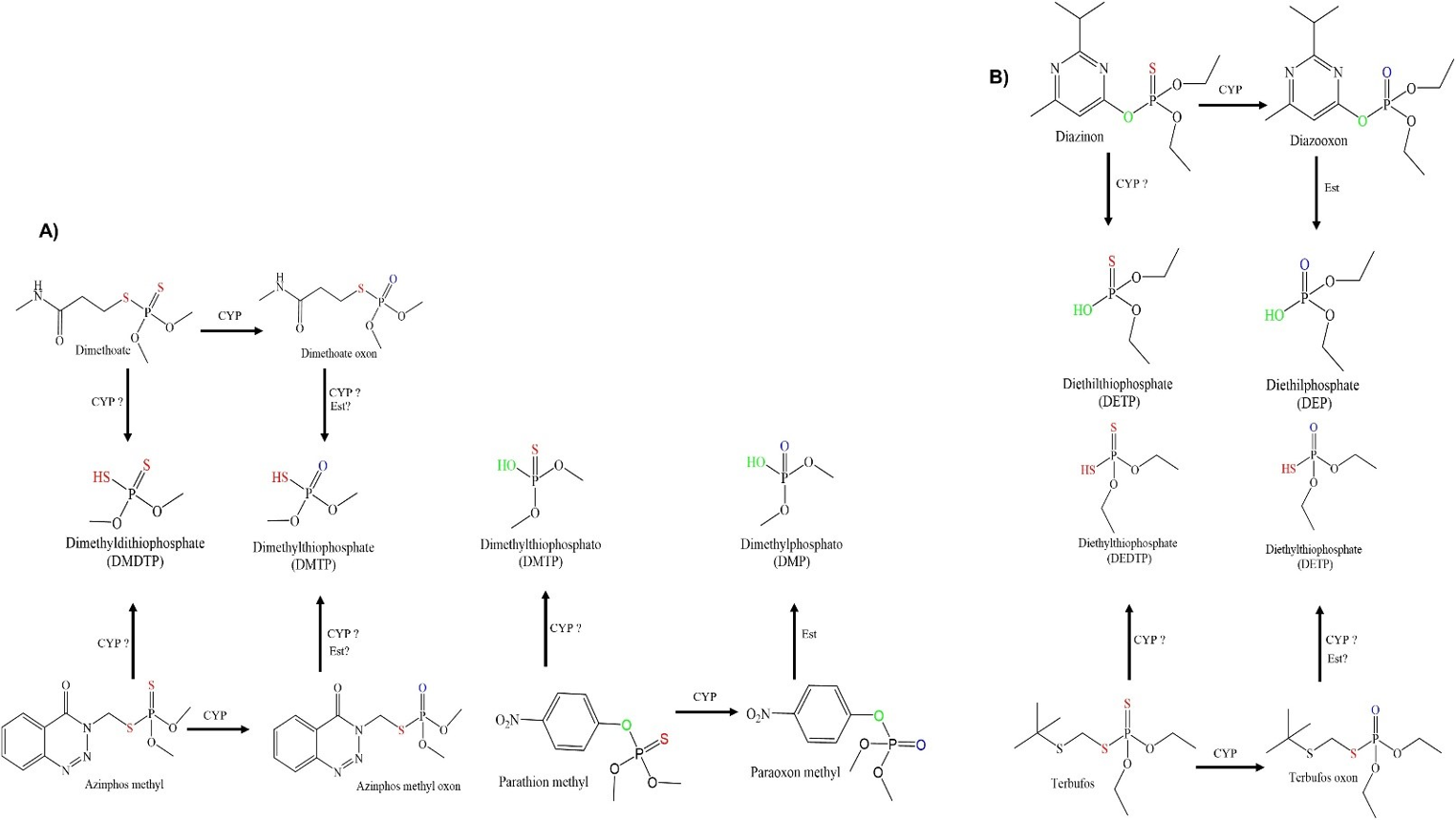 Dialkylphosphate urinary metabolites and cholinesterase activities in Mexican indigenous farmworkers