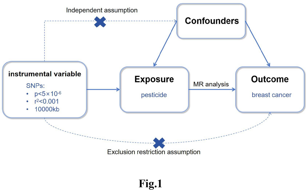 Association between pesticide exposure and breast cancer risk: a two-sample Mendelian randomization study