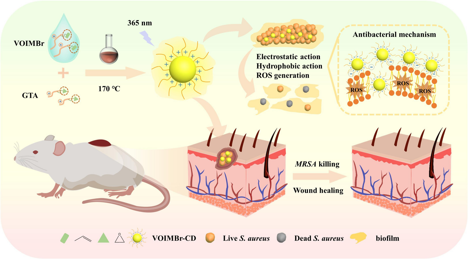 Insights into the antimicrobial and antibiofilm activities of ionic liquids and their mechanisms of action
