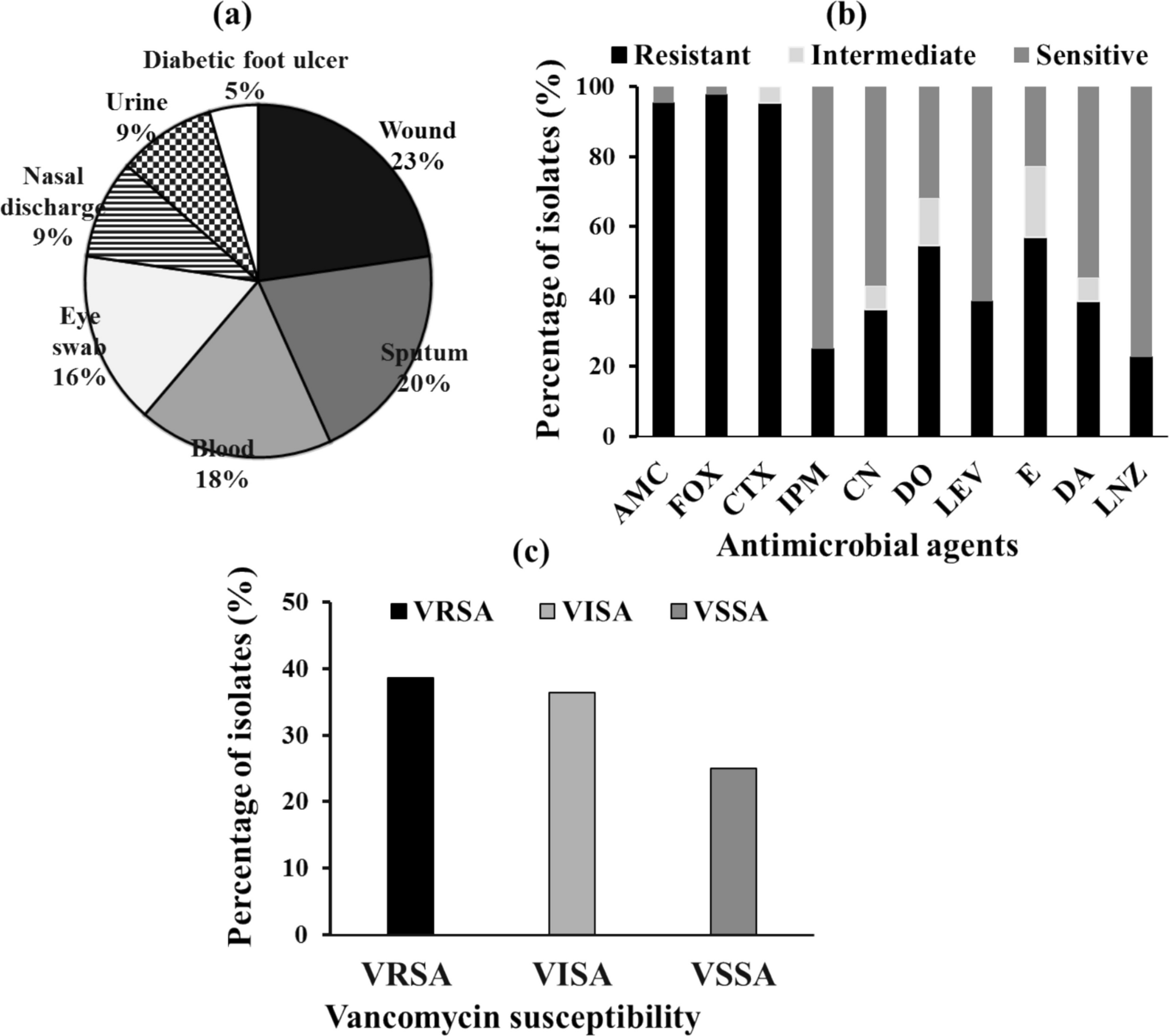 In vitro and in vivo synergistic effects of cyclizine and piroxicam in combination with linezolid against methicillin-resistant