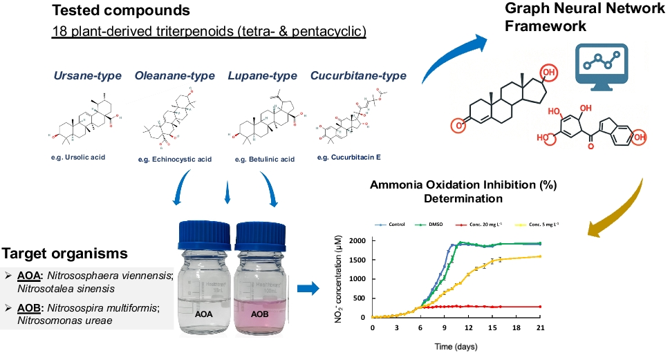 The potential of plant-derived triterpenoids as biological nitrification inhibitors