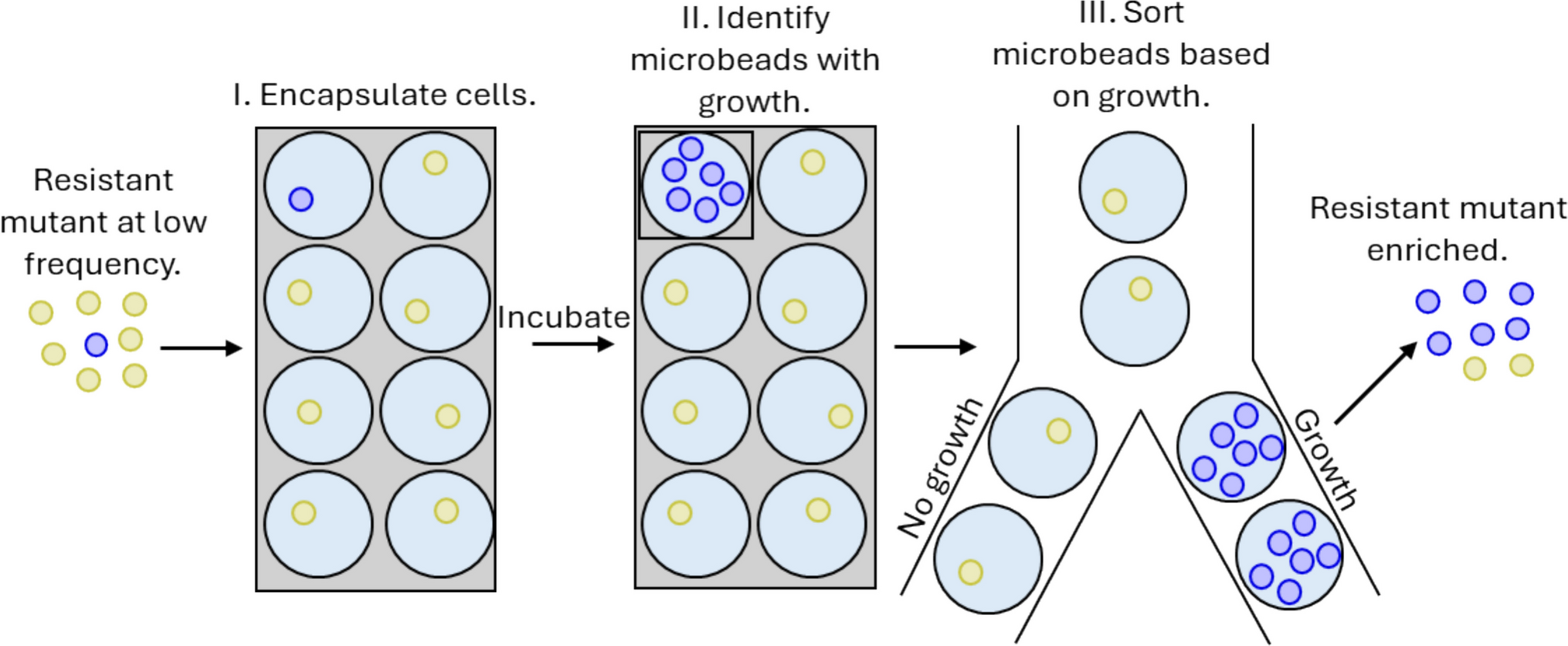 Development of a high-throughput label-free method for enrichment of antimetabolite-resistant yeast strains using pico-litre agarose beads