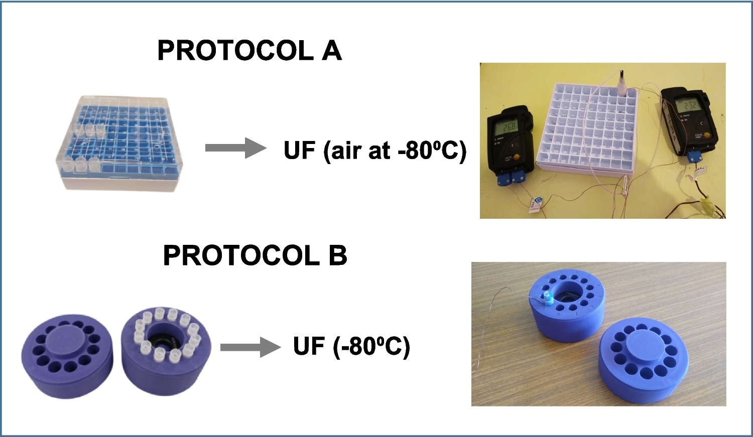 Optimizing cryopreservation protocols of  using heat transfer modeling