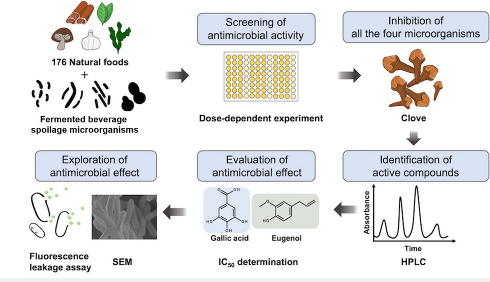 Natural food-derived antimicrobials against beer spoilage microorganisms