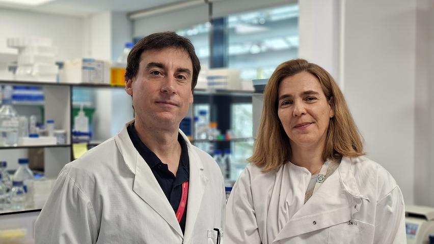 Research hopes to uncover new vulnerabilities in glioma tumour cells