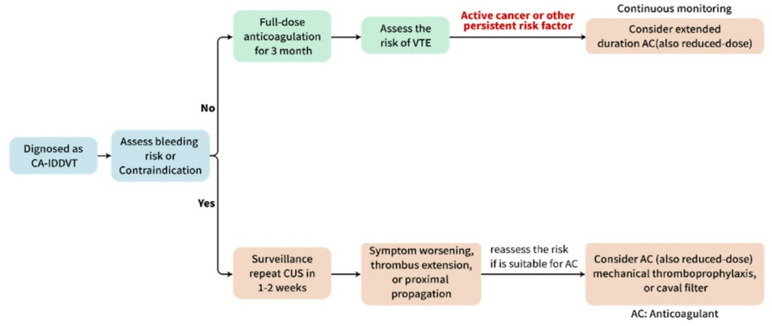 Insights on management of recurrence of Cancer-associated isolated distal deep vein thrombosis