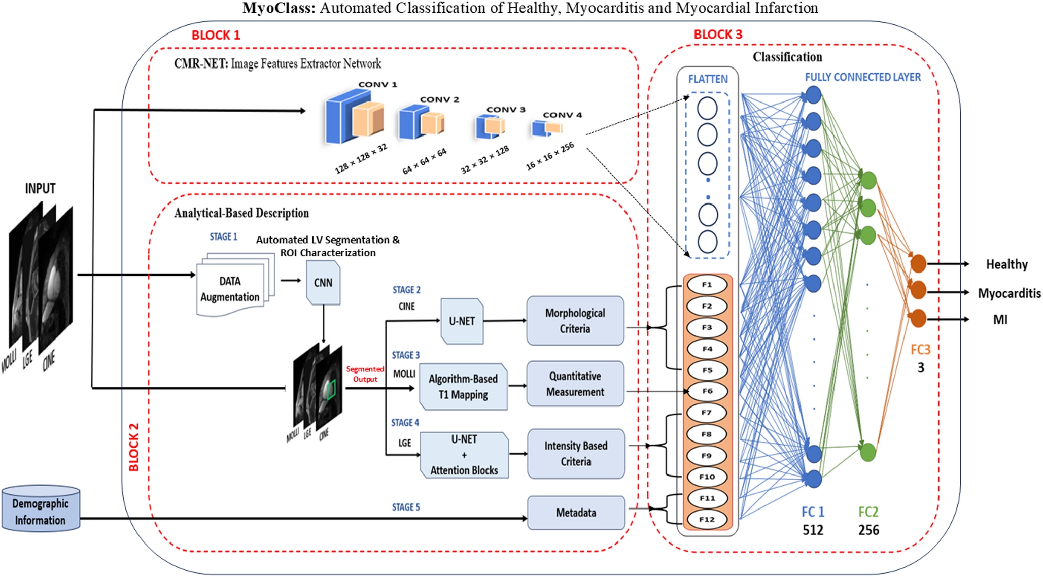 MyoClass: A modular multimodal auto-classification system for myocardial tissue characterization