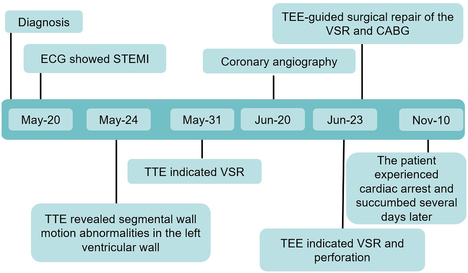 Transesophageal echocardiography (TEE)-guided management of post-myocardial infarction complications