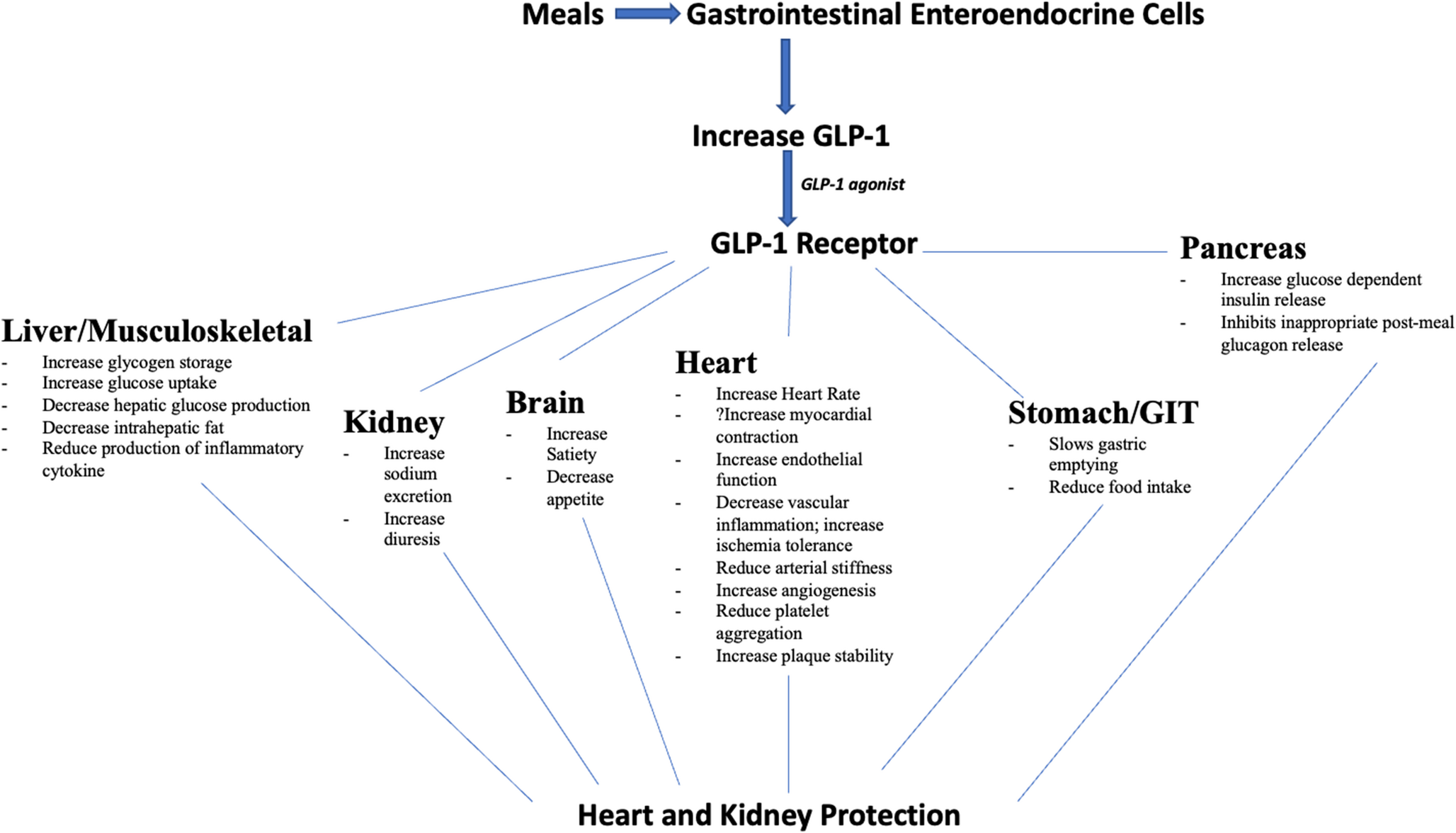 Oral Glucagon-Like Peptide-1 Receptor Agonists for Preventing Cardiorenal Complications
