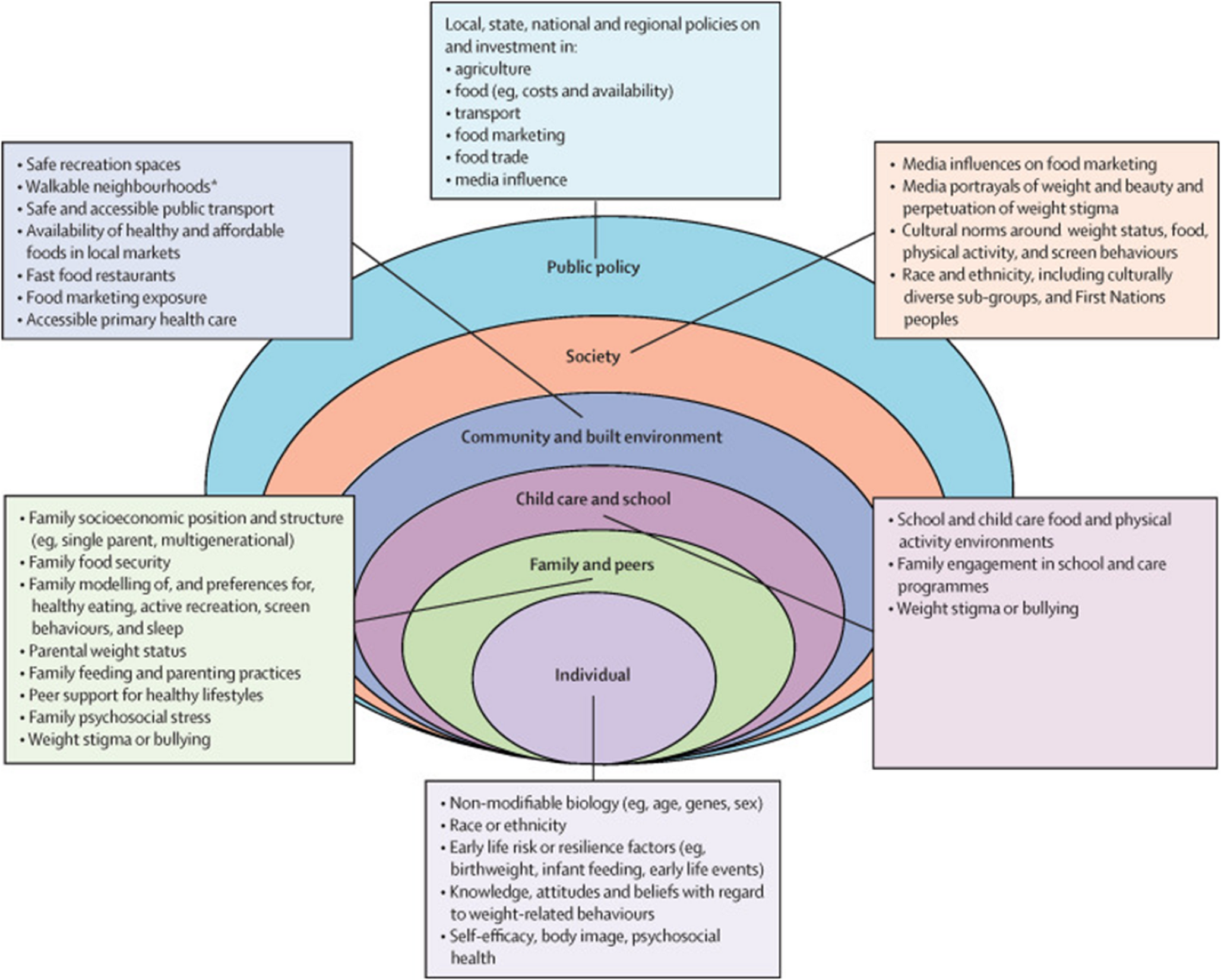 A Growing Burden: Obesity’s Impact on Cardiometabolic Disease Risk in Children and Adolescents