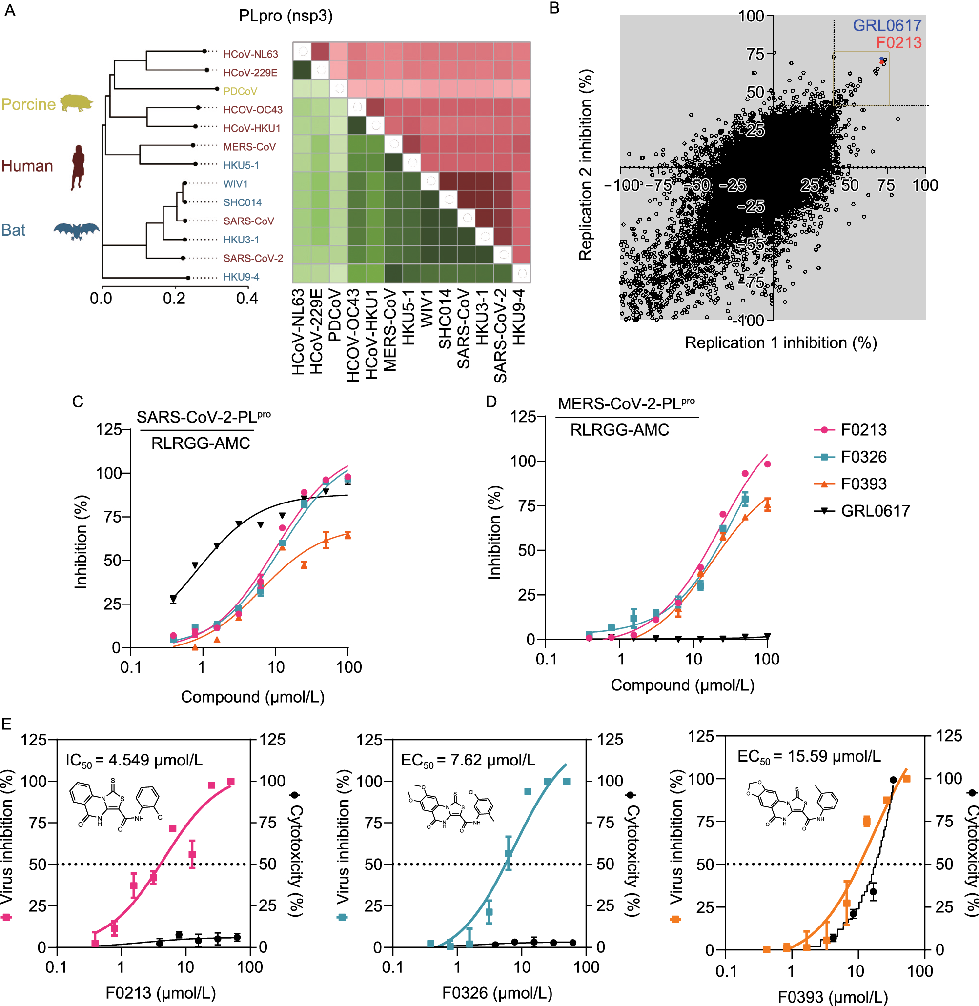 Targeting papain-like protease for broad-spectrum coronavirus inhibition