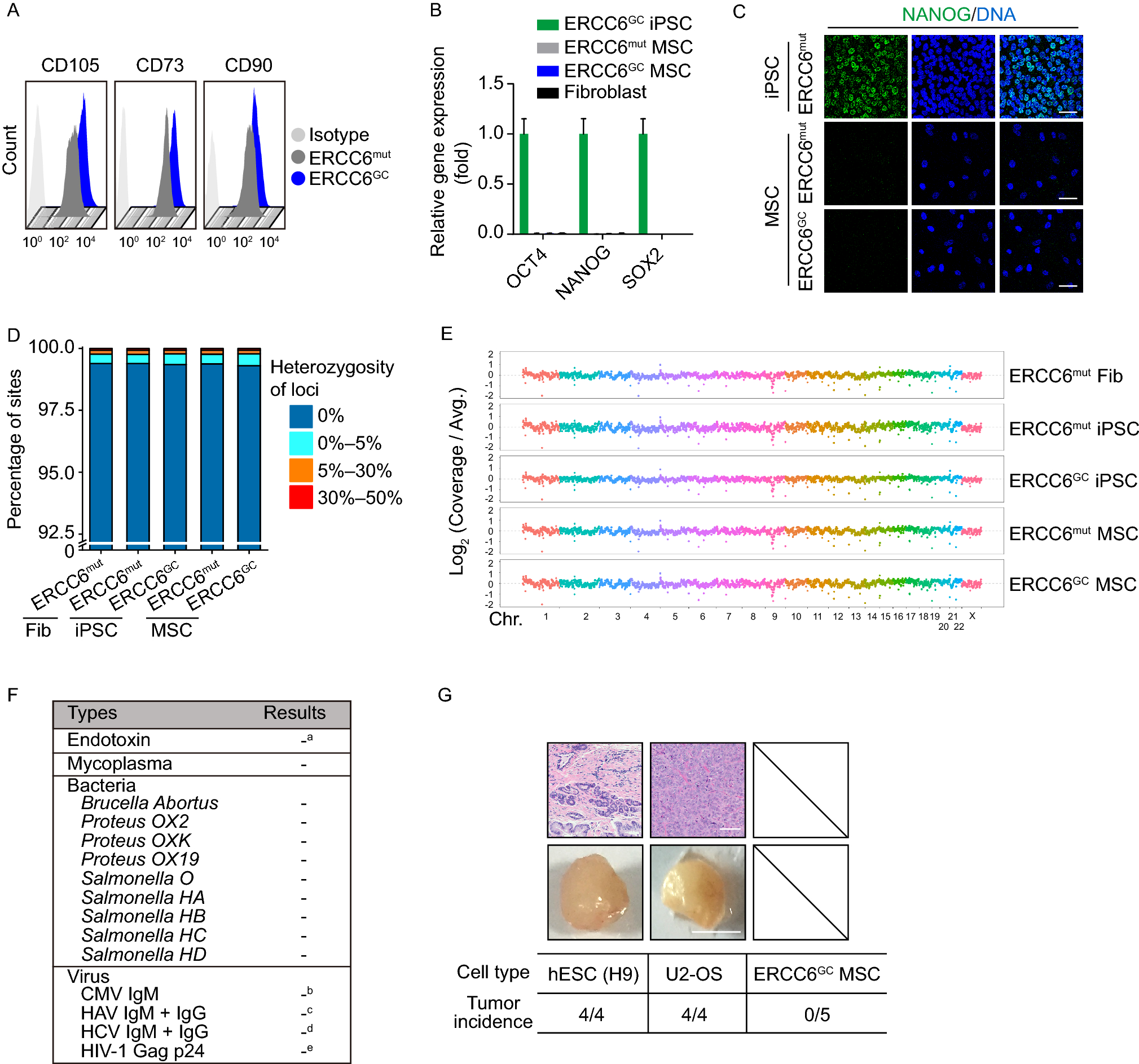 Correction to: Rescue of premature aging defects in Cockayne syndrome stem cells by CRISPR/Cas9-mediated gene correction
