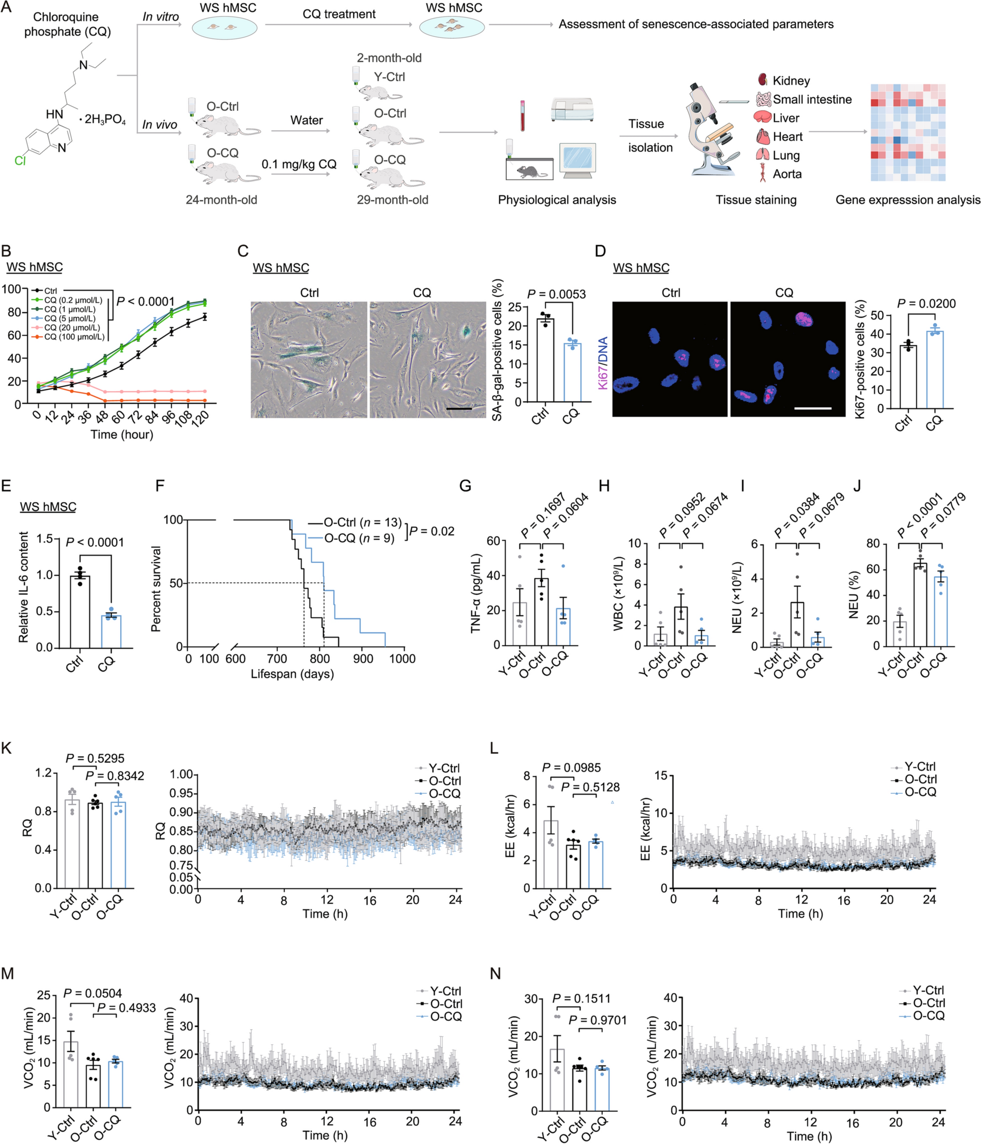 Low-dose chloroquine treatment extends the lifespan of aged rats