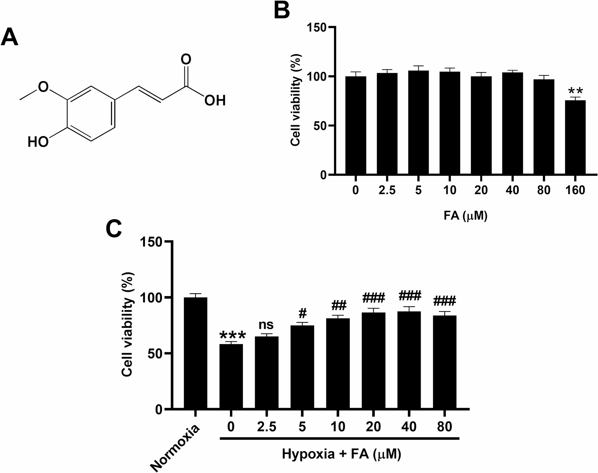 Ferulic acid relieves hypoxic damage by inhibiting endoplasmic reticulum stress, oxidative stress, and apoptosis through activating FOXA2-modulated Nrf2/HO-1 pathway in spermatogonial cells