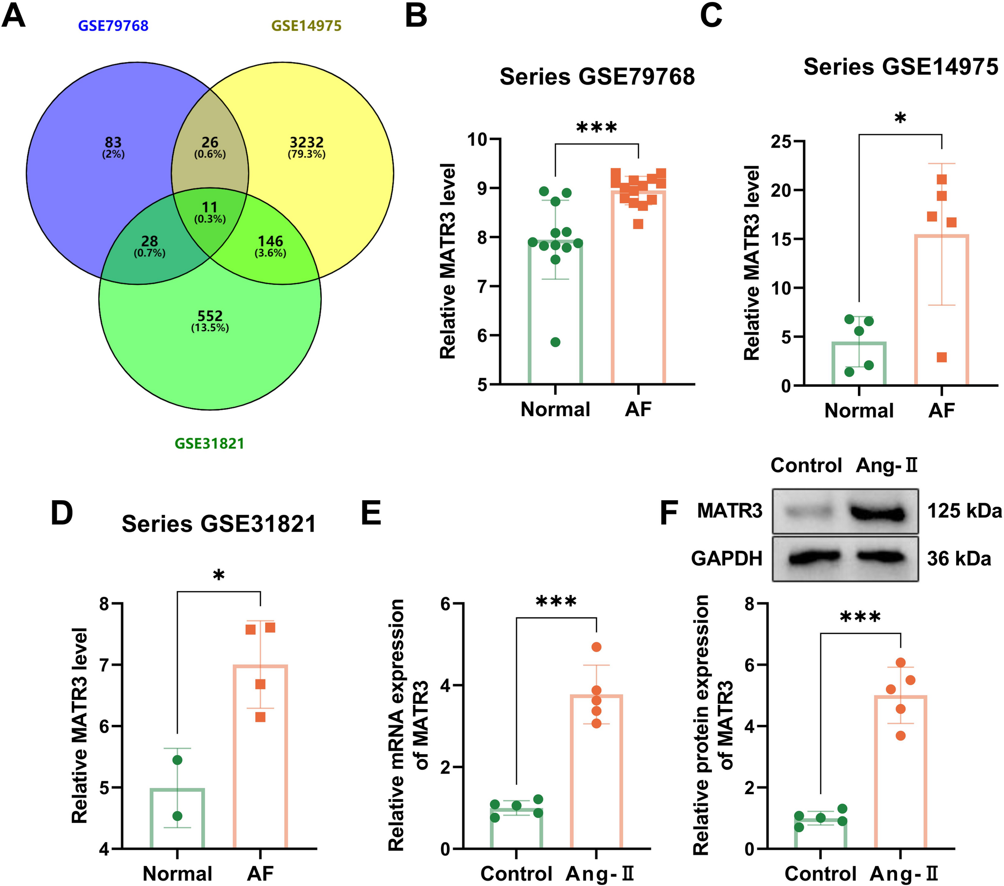 MATR3 regulates METTL3-Mediated mA modification of MSI2 mRNA to activate the Wnt/β-Catenin pathway, exacerbating myocardial fibrosis and atrial fibrillation