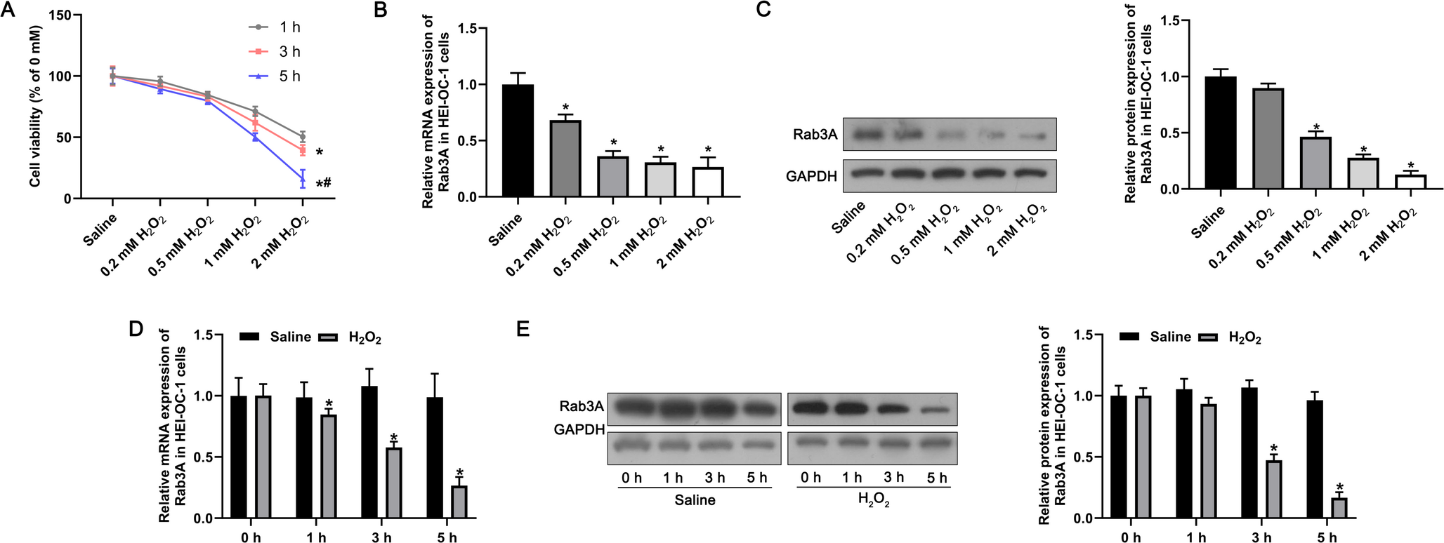Rab3A attenuated H₂O₂-induced mitochondrial dysfunction and damage in HEI-OC1 cells by stabilizing ITGA3 expression