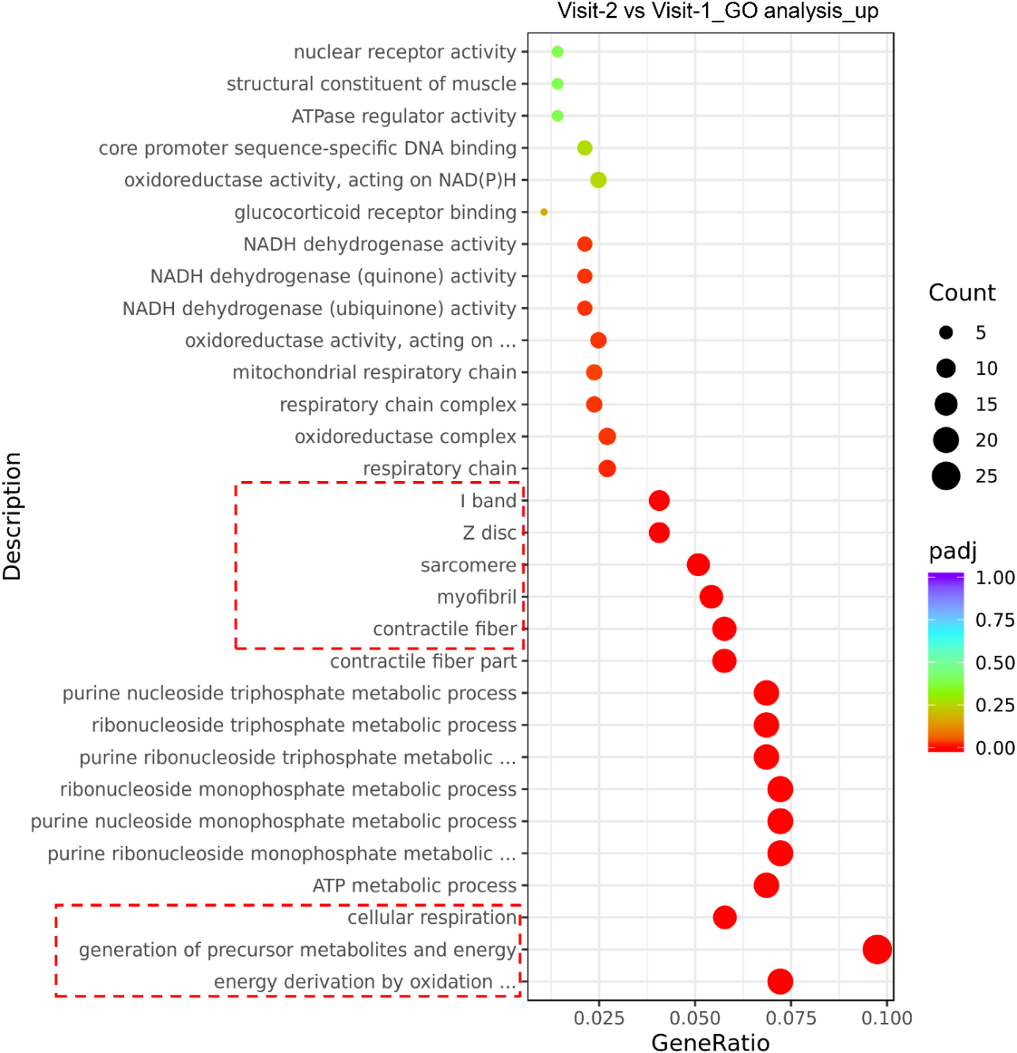 Resistance-based exercise restores muscle health in dialysis patients