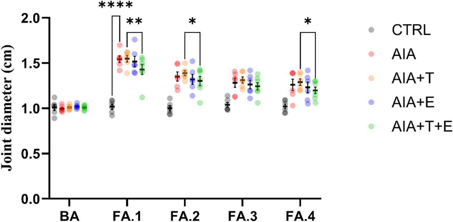 Stair-climbing resistance exercise, with or without oral turmeric ( L.) supplementation, relieves symptoms and promotes musculoskeletal repair in experimental rheumatoid arthritis in rats