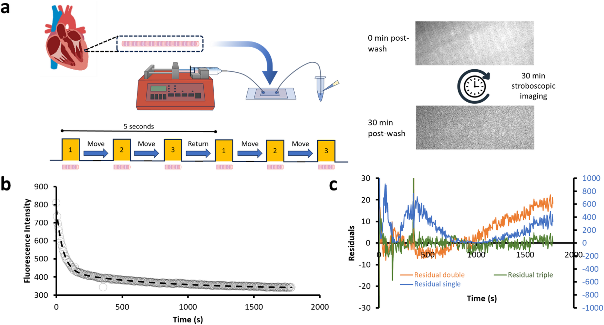 Direct measurement of mavacamten and deoxyATP perturbation of the SRX/DRX ratio in porcine cardiac myofibrils using a simple, accessible and multiplexed approach