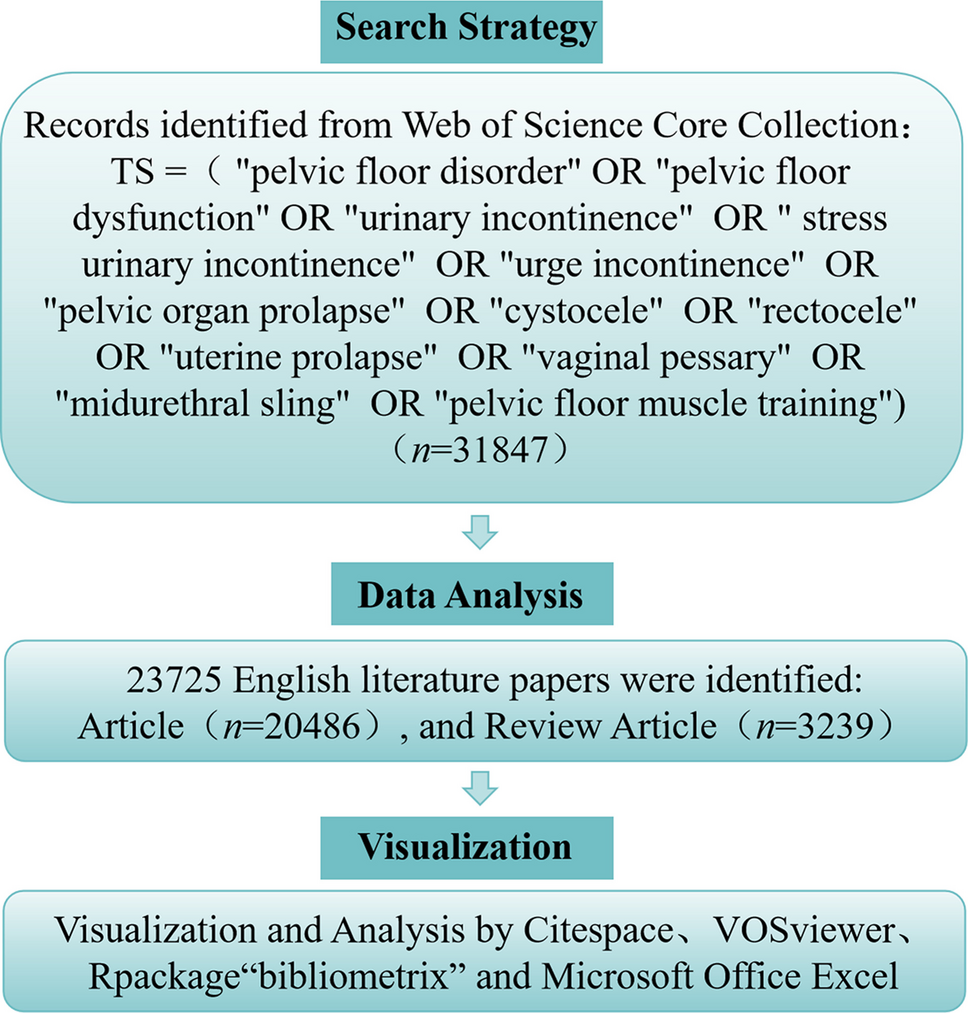 Pelvic Floor Dysfunction Research: A Bibliometric Analysis with Retrospective Clinical Validation