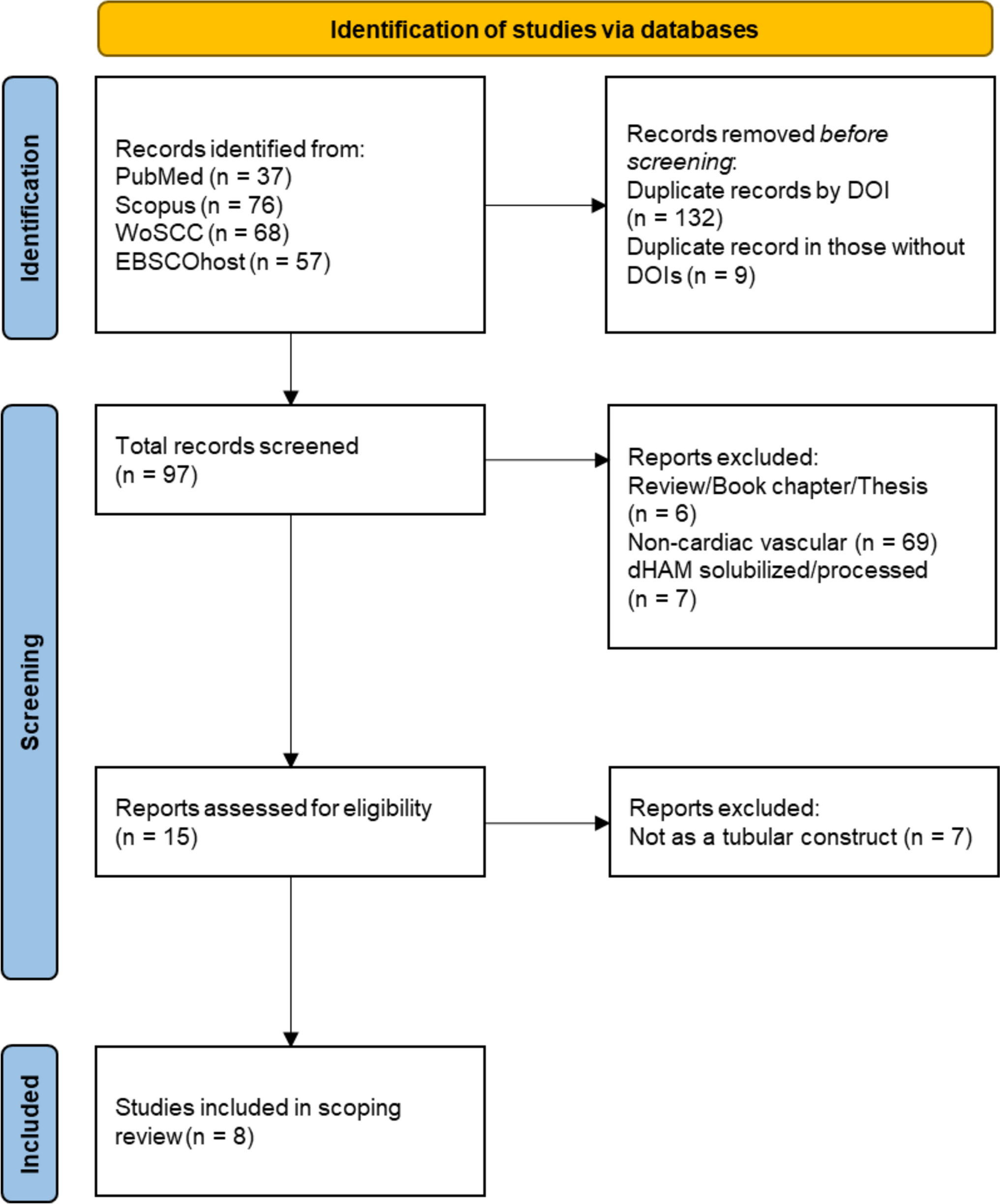 Rolled amniotic membrane for practical vascular graft development: a scoping review