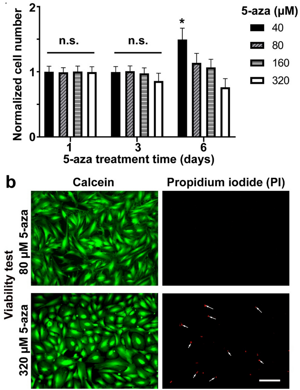 5-Azacytidine induces sensory hair cell marker expression in human inner ear cells