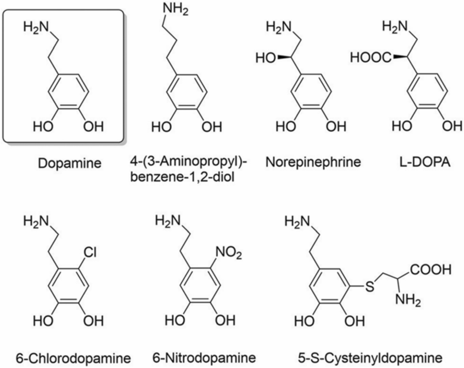 Recent Progress of Dopamine-Modified Tissue Adhesives for Biomedical Applications in Underwater Environments