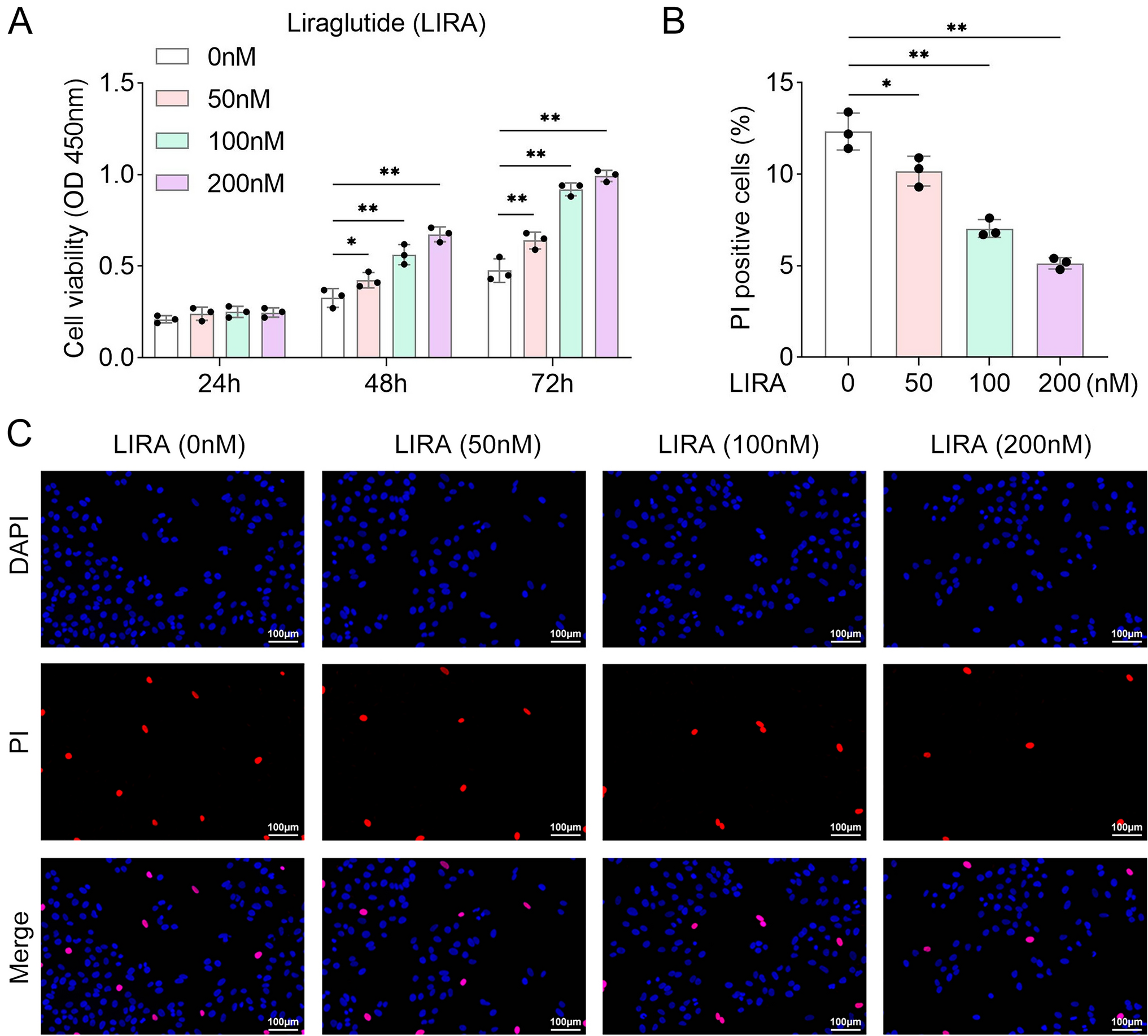 Liraglutide Promoted Osteogenic Differentiation of Dental Pulp Stem Cells via H3K18 Lactylation-Dependent DSPP Activation