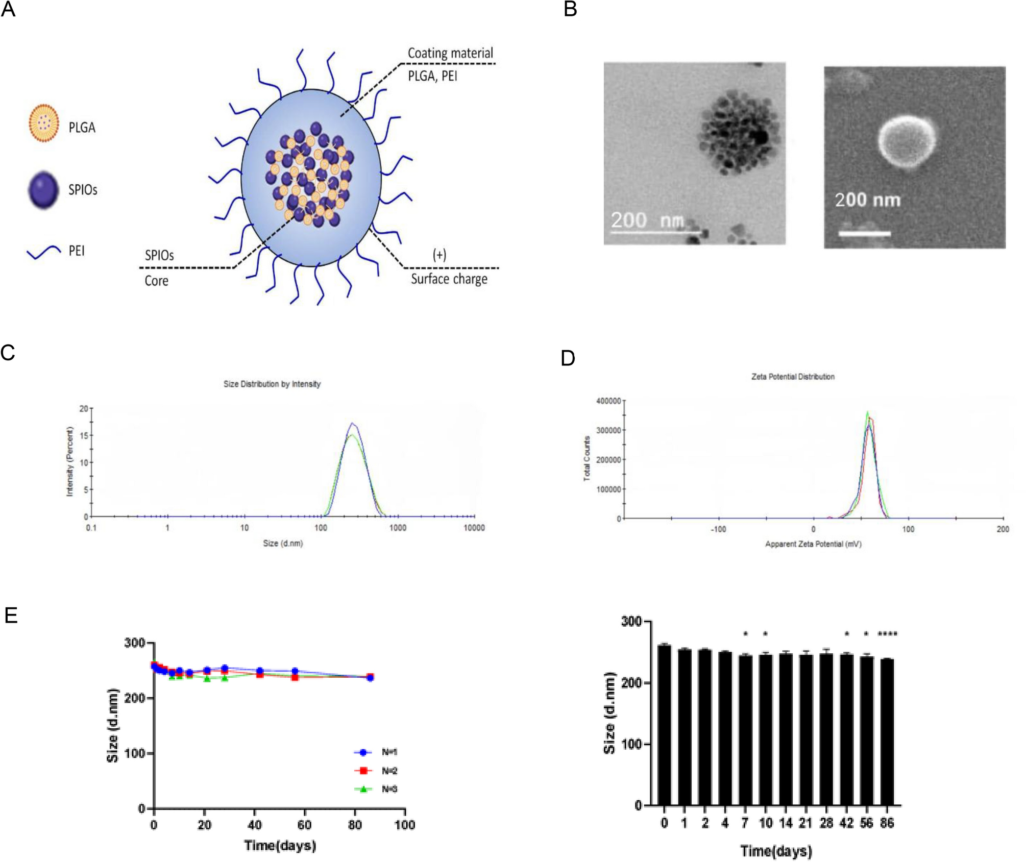 Therapeutic Effects of N-Acetylcysteine-Primed, Iron Oxide Nanoparticle-Enhanced Mesenchymal Stem Cell Exosomes in Ototoxicity Hearing Loss