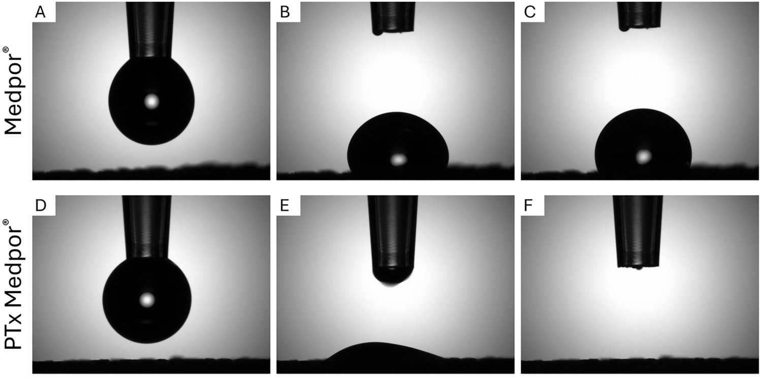 Combining Surface Modification and Bioactive Cues to Enhance Medpor® Implant Integration