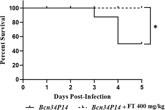 Long-term lung infection suppression in a mouse model caused via the clinical isolate of Burkholderia cenocepacia using the non-traditional antibacterial agent Fluorothiazinone