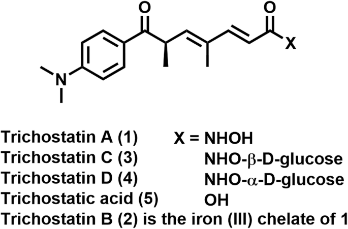 Optical resolution of trichostatic acid using cinchonidine salts for the practical synthesis of trichostatin A enantiomers