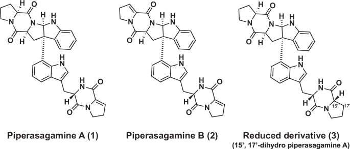 New antimalarial dimeric diketopiperazines, piperasagamines A and B, produced by a deep-sea-derived fungus Aspergillus sp. FKJ-0404 strain