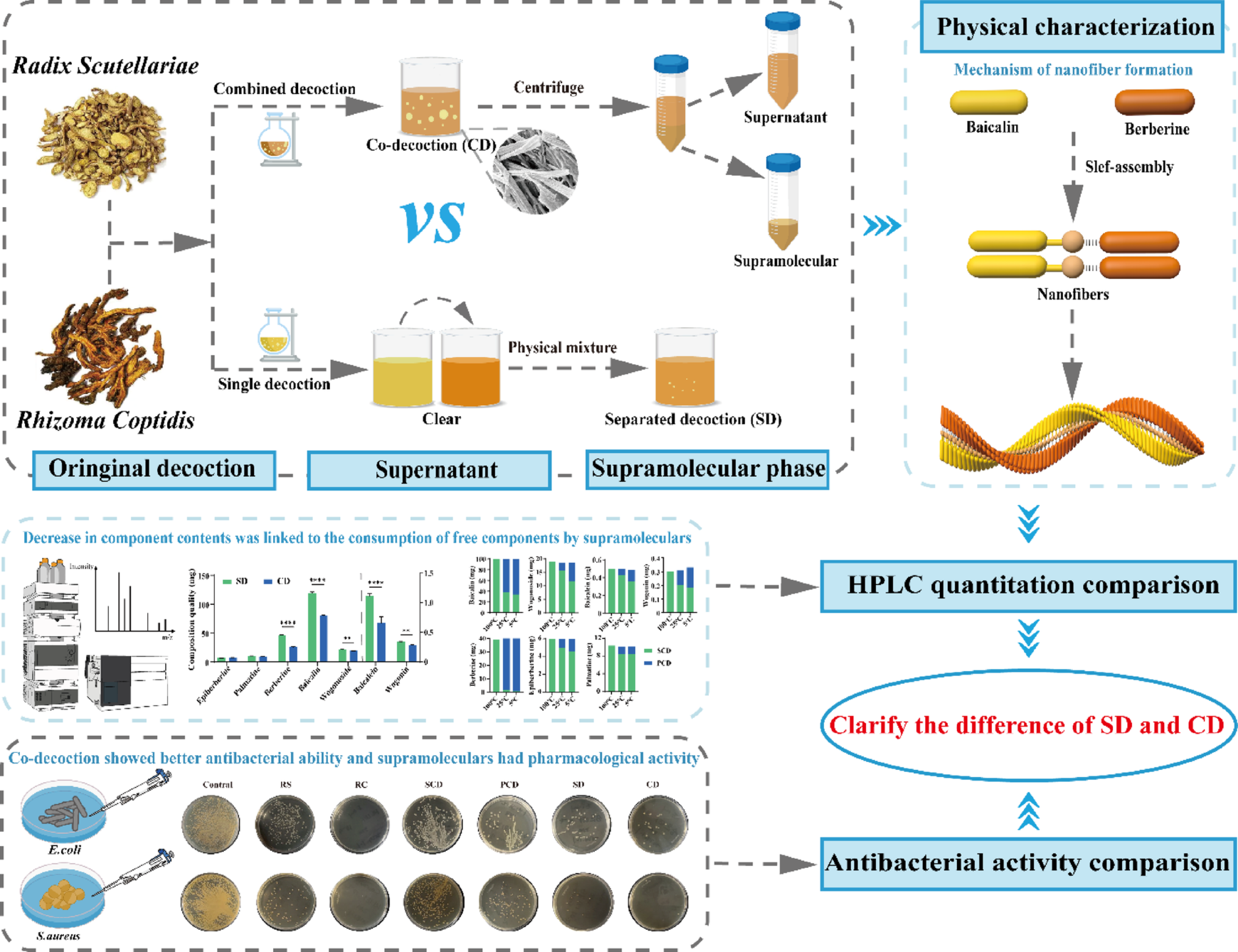 Effects of extraction methods on the phase, composition, bacteriostatic effect of - decoction