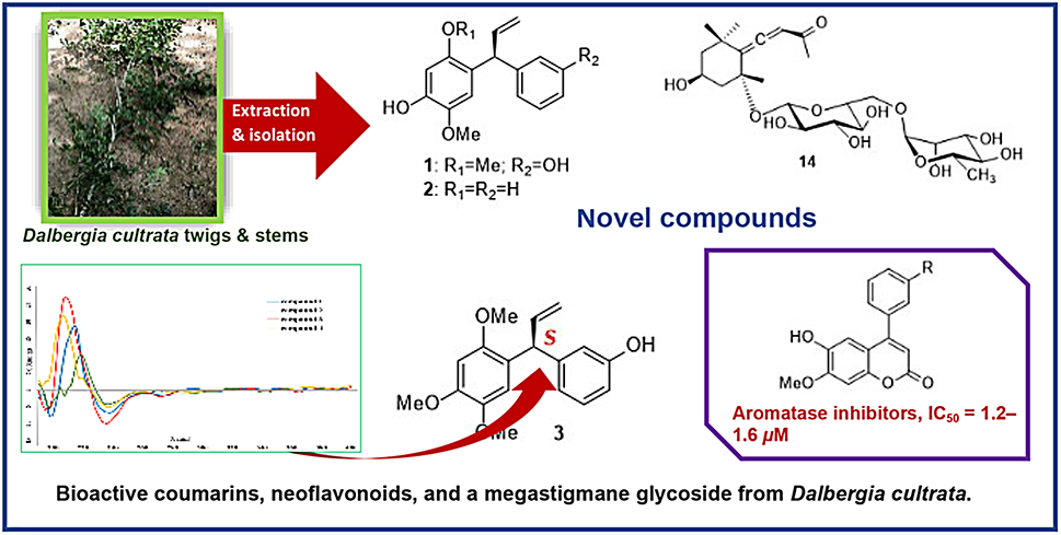Neoflavonoids and a megastigmane glycoside from : structural elucidation and biological evaluation