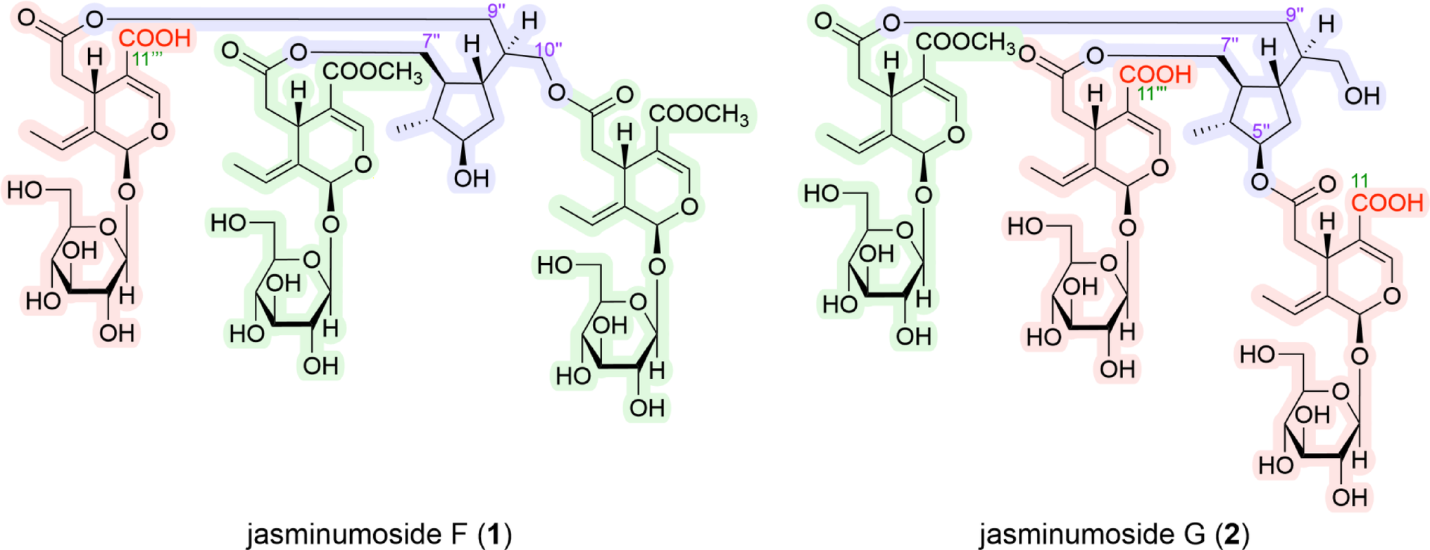 Jasminumosides F–K, oligomeric secoiridoid glycosides from jasmin: the flowers of  (L.) Aiton
