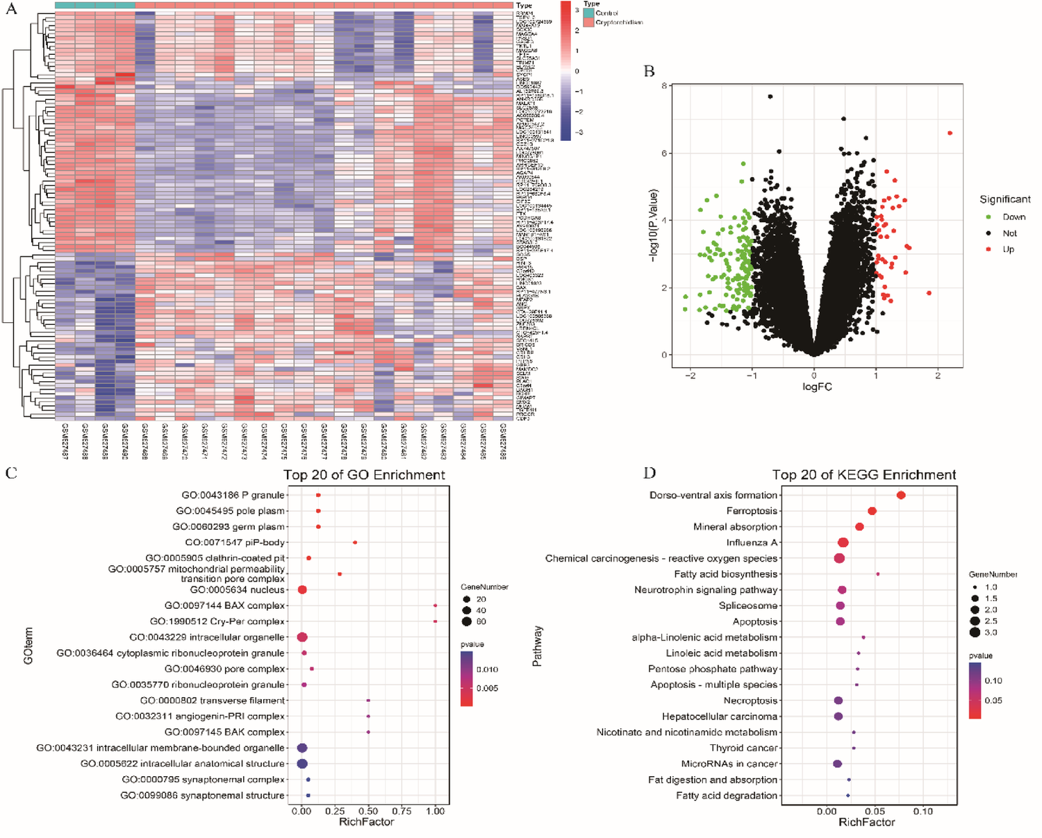 Comprehensively exploring the roles of MAGEA1 in cryptorchidism and its related transcription factor regulatory network