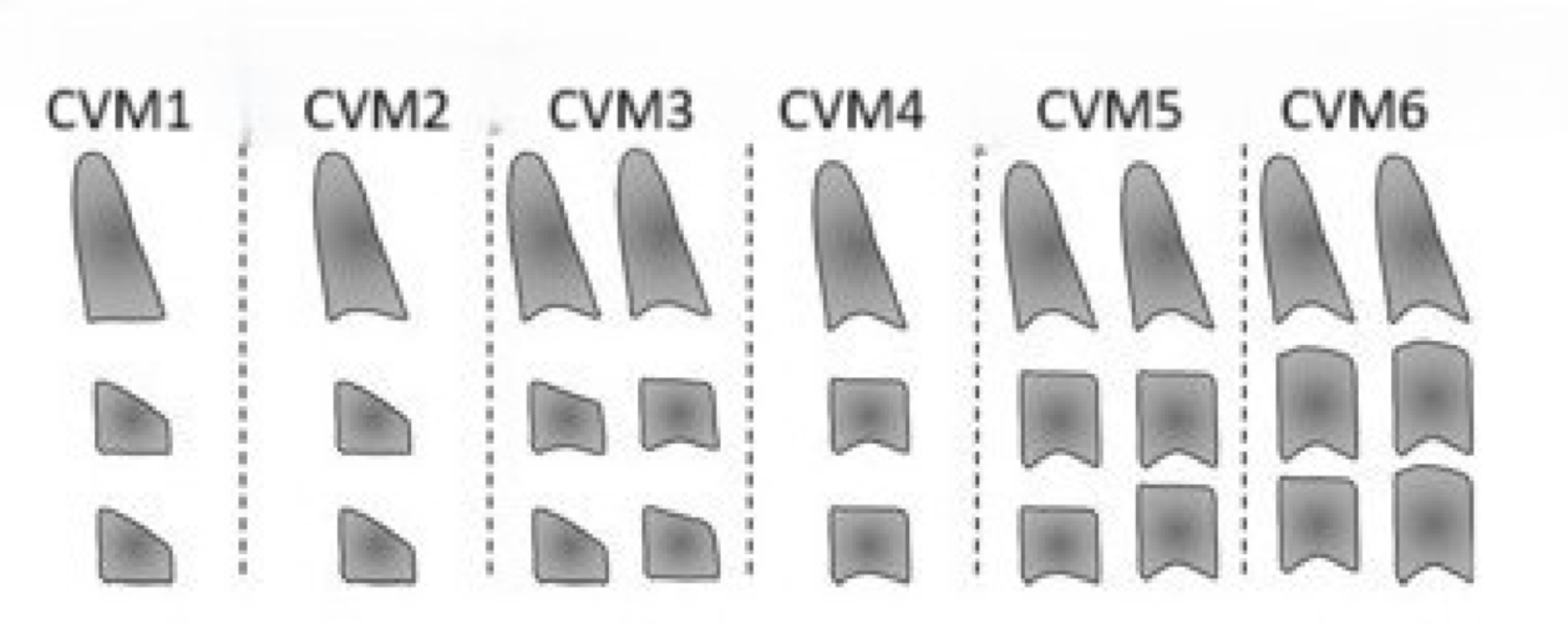 Radiographic choice for skeletal maturation assessment: a systematic review of Cervical Vertebrae Method and Middle Phalanx Method