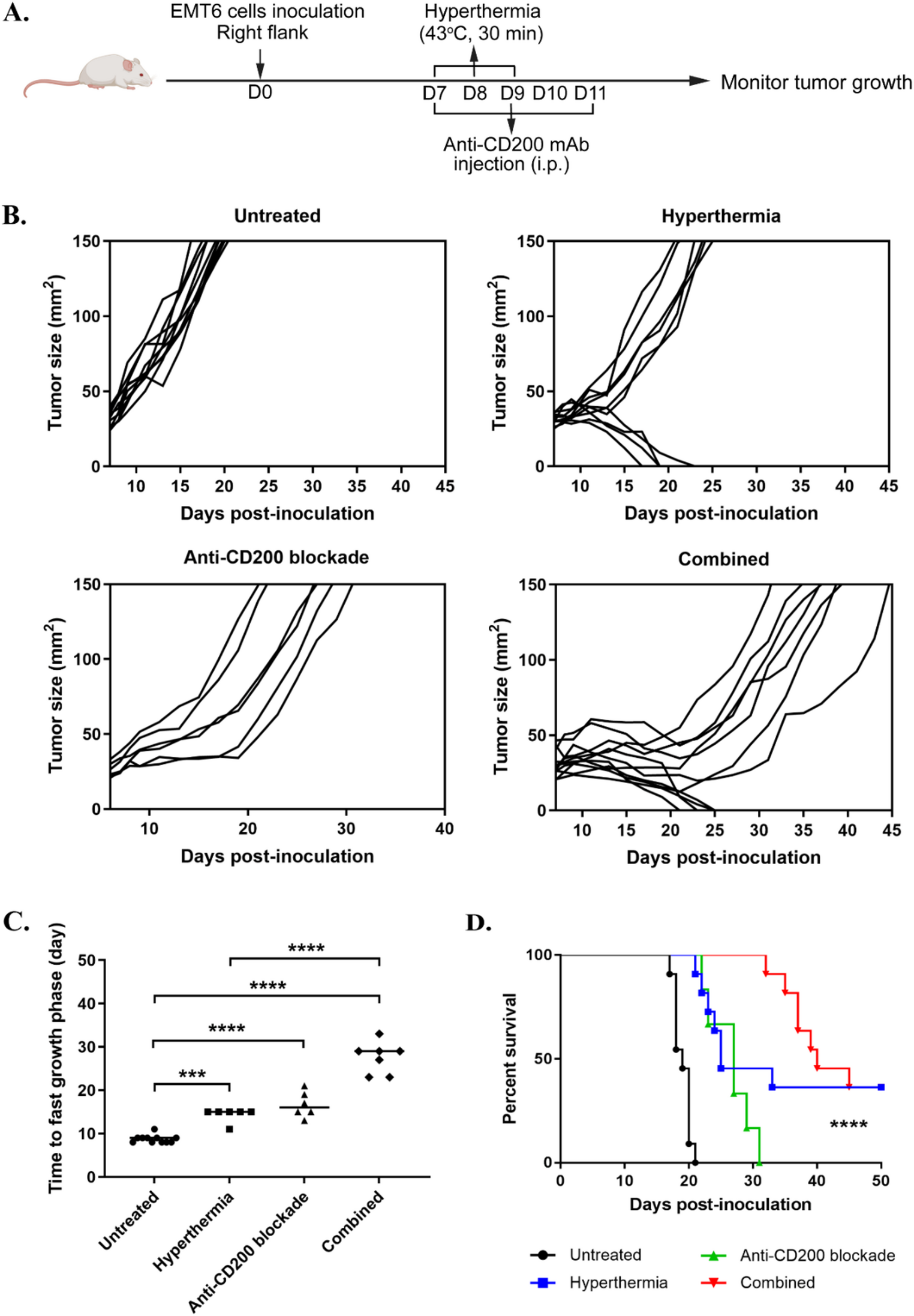 Therapeutic exploration of combined local hyperthermia and anti-CD200 blockade therapy in the EMT6 breast cancer model