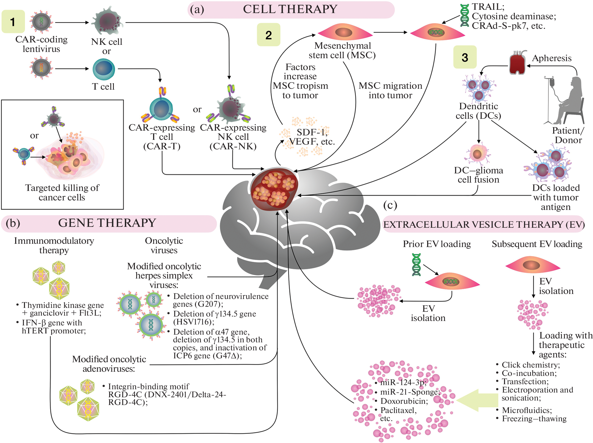 Gene and Cell Technologies for Treatment of Brain Malignancies