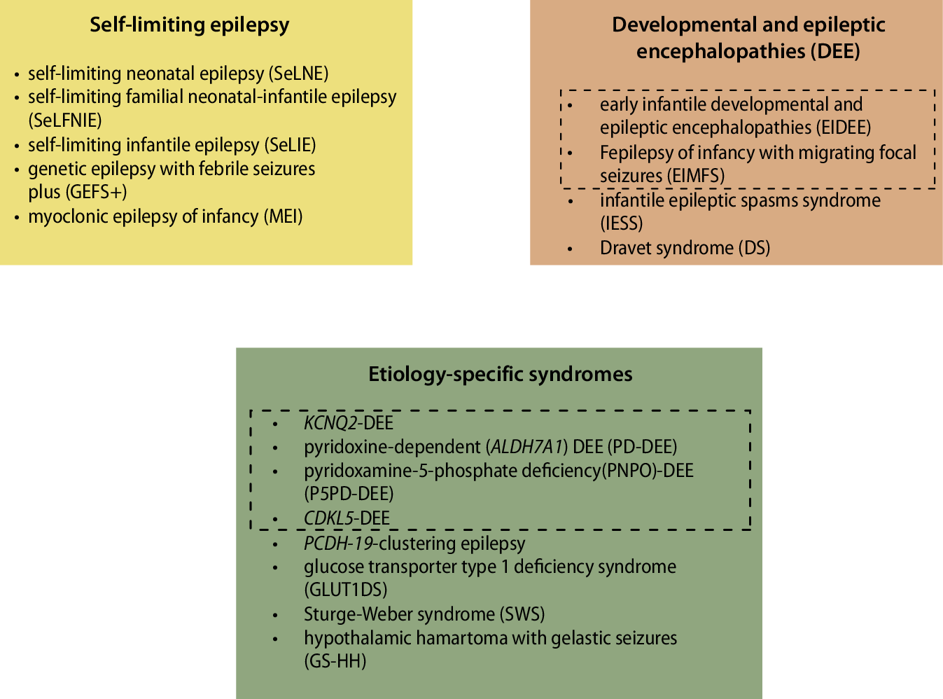 Neonatal developmental and epileptic encephalopathies. English version