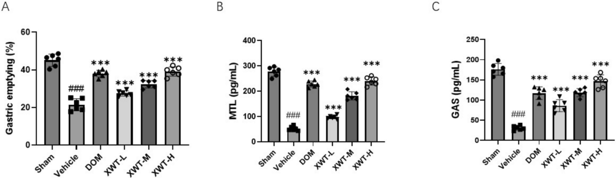 Mechanisms of Xinwei Tang in stress-induced gastric dysmotility: evidence from rat and In Vitro models