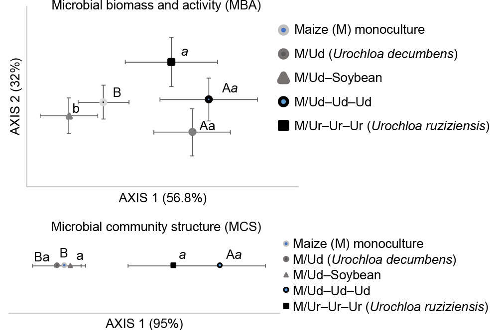 Different no-till grain production systems with  spp. affect soil microbial community structure, biomass and activity in a tropical Ultisol